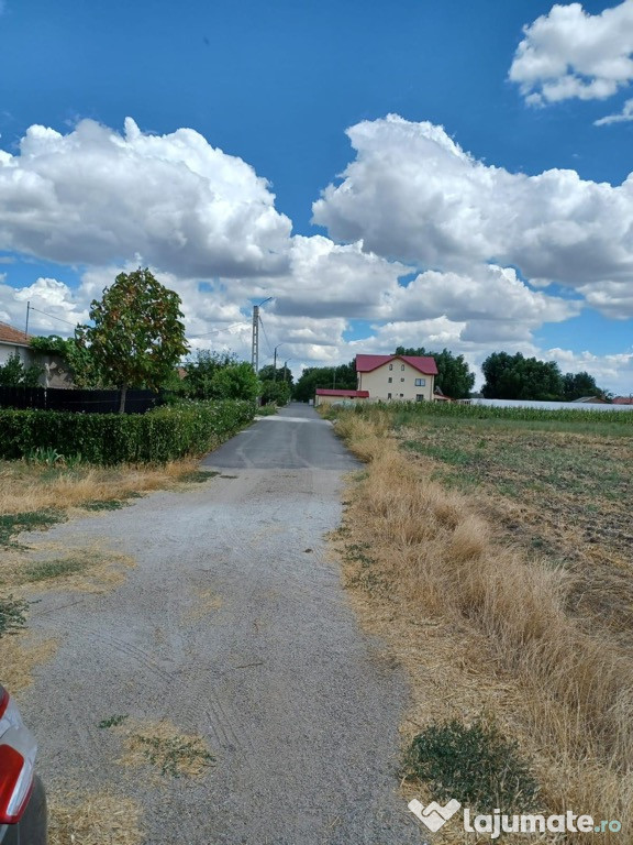 Teren Crivat, Calarasi la 35 km de Bucuresti