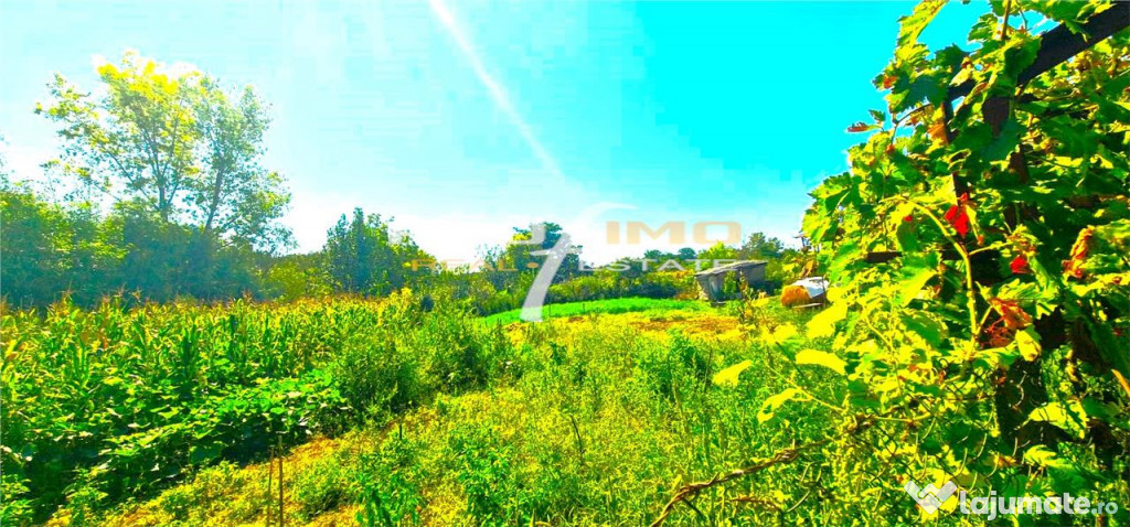 Teren 1486mp.D=50m.cu casa 3 camere locuibila, Tulcea-Somova