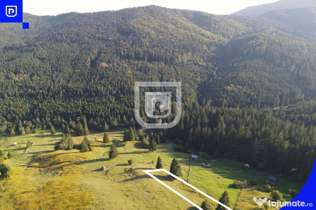 Teren situat in Frasin | BUCOVINA