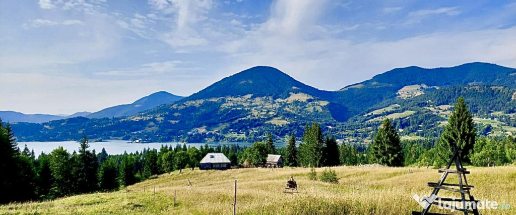 Panorama Lacului/ Terenul Perfect la Colibița/40 de ari