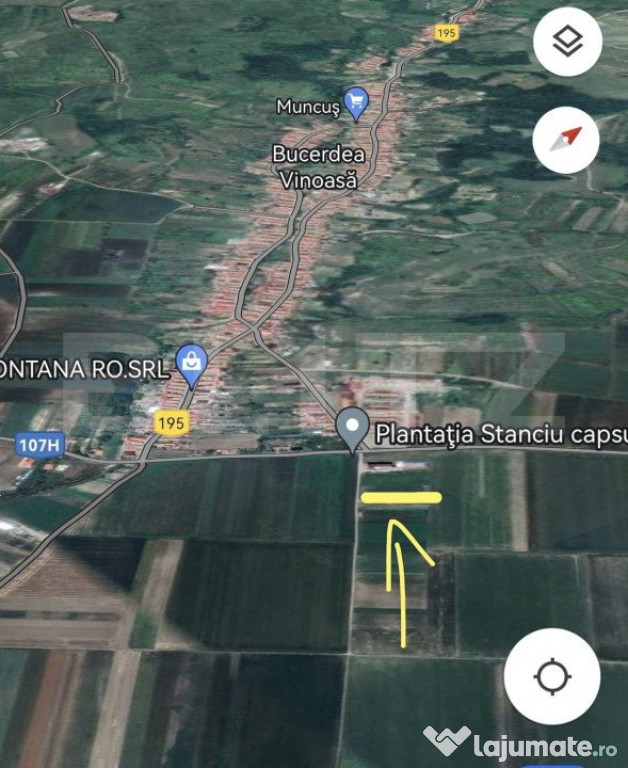 Teren extravilan, 800 mp, zona Bucerdea Vinoasă