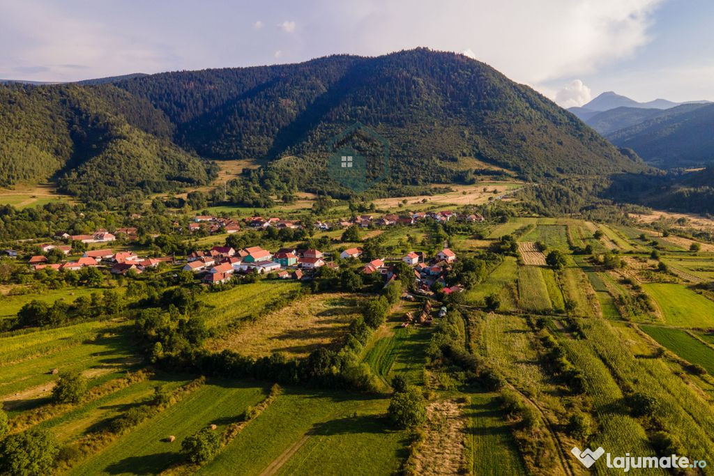 Proprietate de 1 ha la poalele Muntilor Retezat, Nucsoara...