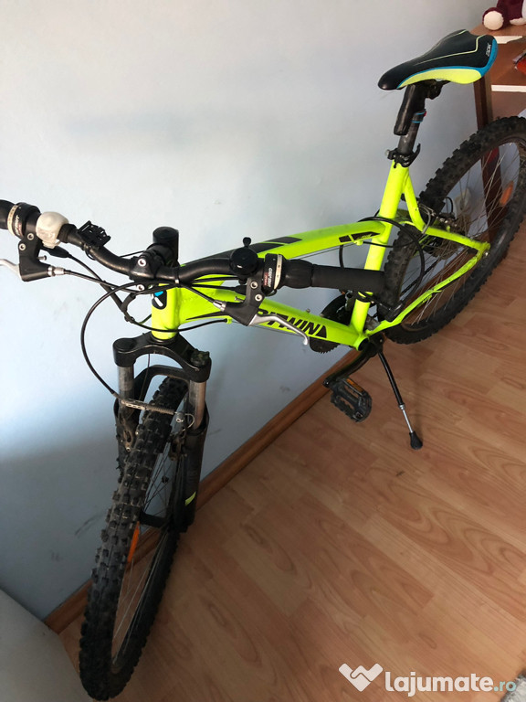 Bicicleta pentru adulți