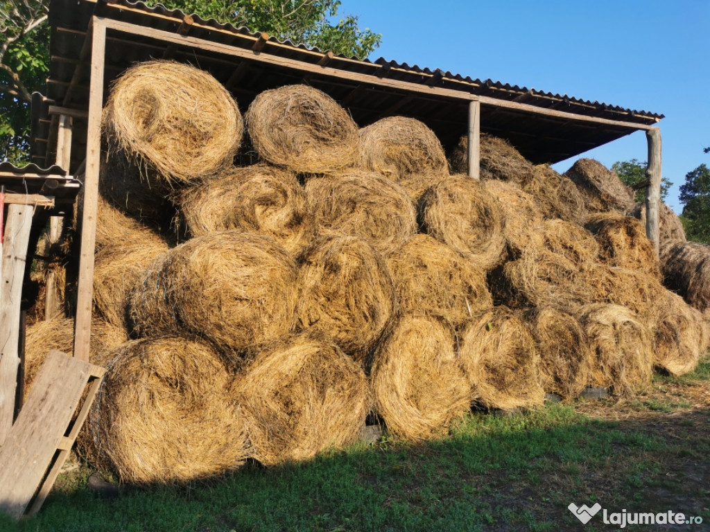 Baloți lucernă sau fân