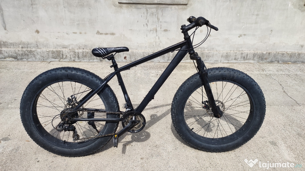 Bicicleta Fat Bike