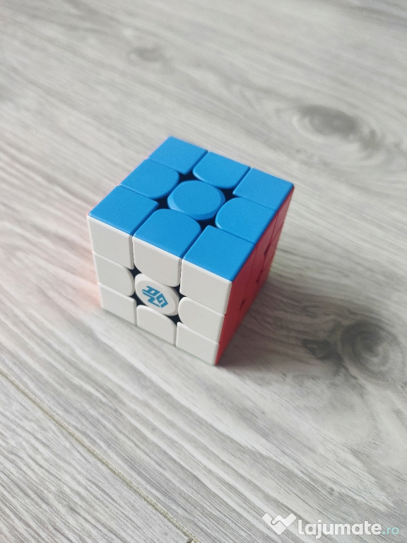 Cub Rubik Gan profesionist