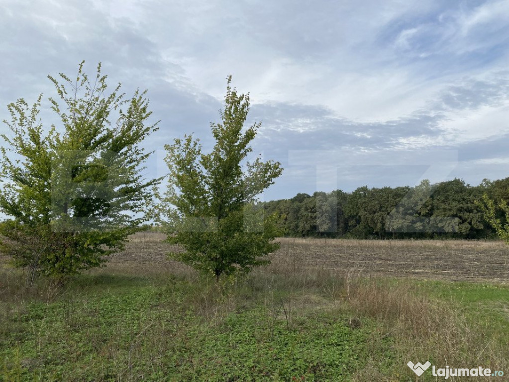 Teren intravilan 520mp Valea Ursului cu vedere la Pădure