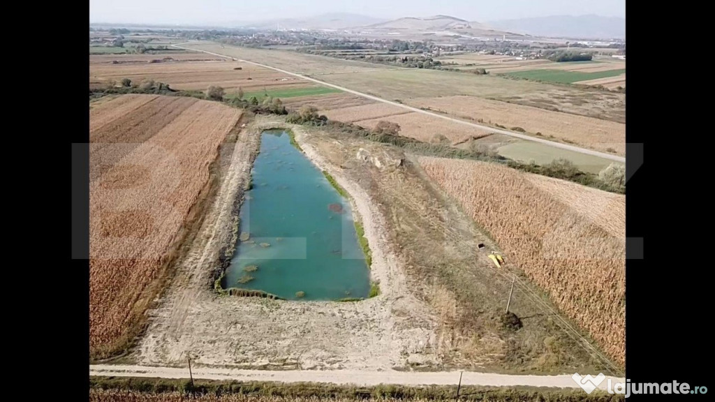 Teren cu balta piscicola, zona Coslariu