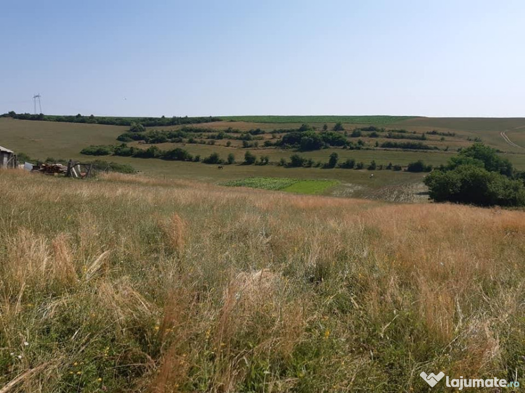 Teren 9300 mp in Rusciori la 10 km de orasul Sibiu