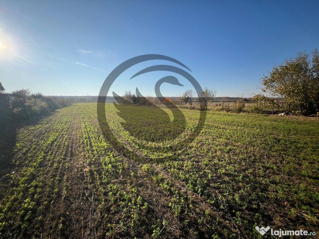 Teren intravilan de vanzare | 12.650 mp | Ghirdoveni, | C...