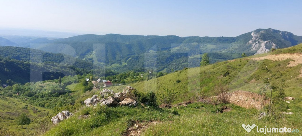 Teren extravilan pentru cabana, 3800 mp, zona-Ramet Transapu