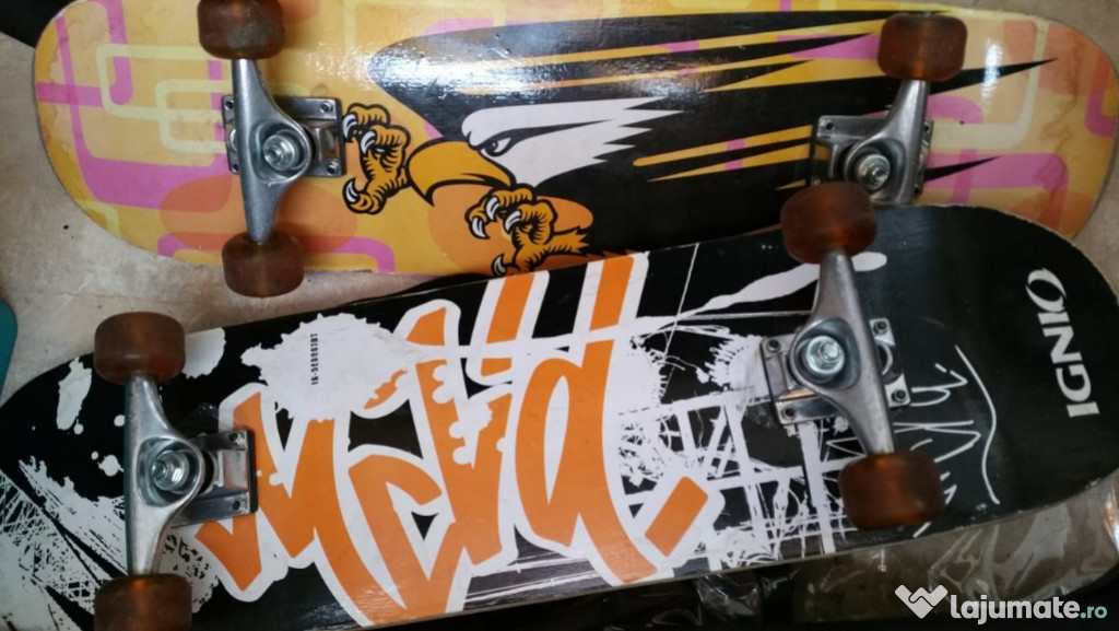 Skateboard ( cu protecție genunchi)