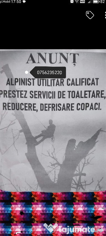 Toaletam copaci arbori