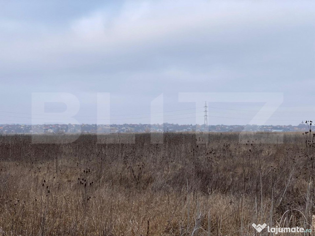 Teren intravilan de vanzare, 9000 mp, zonă Industrială, Ia