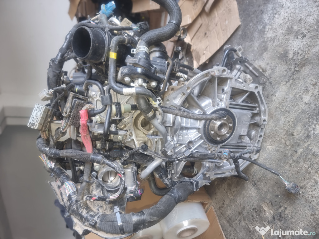 Placute fata Dacia Logan