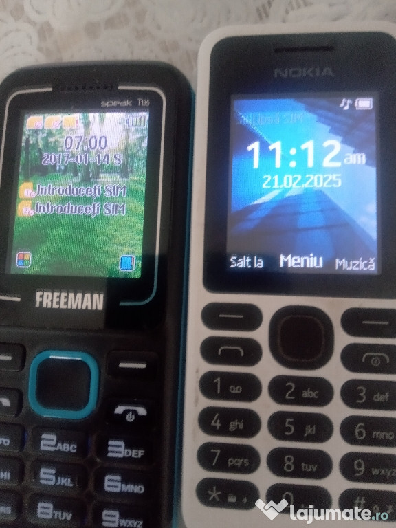 Nokia 1307 și Telefon Freeman