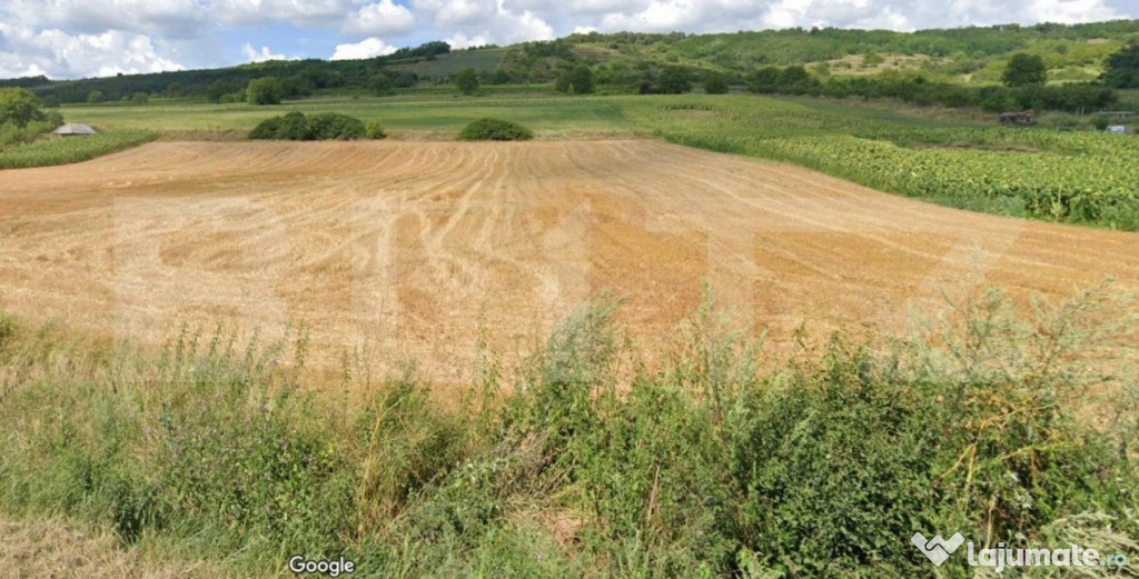 Teren intravilan la strada principala