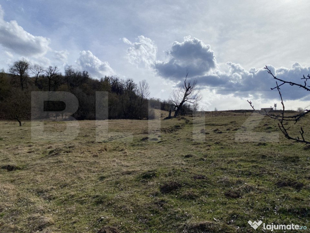 Teren intravilan in suprafata de 2000 mp, zona Episcopiei