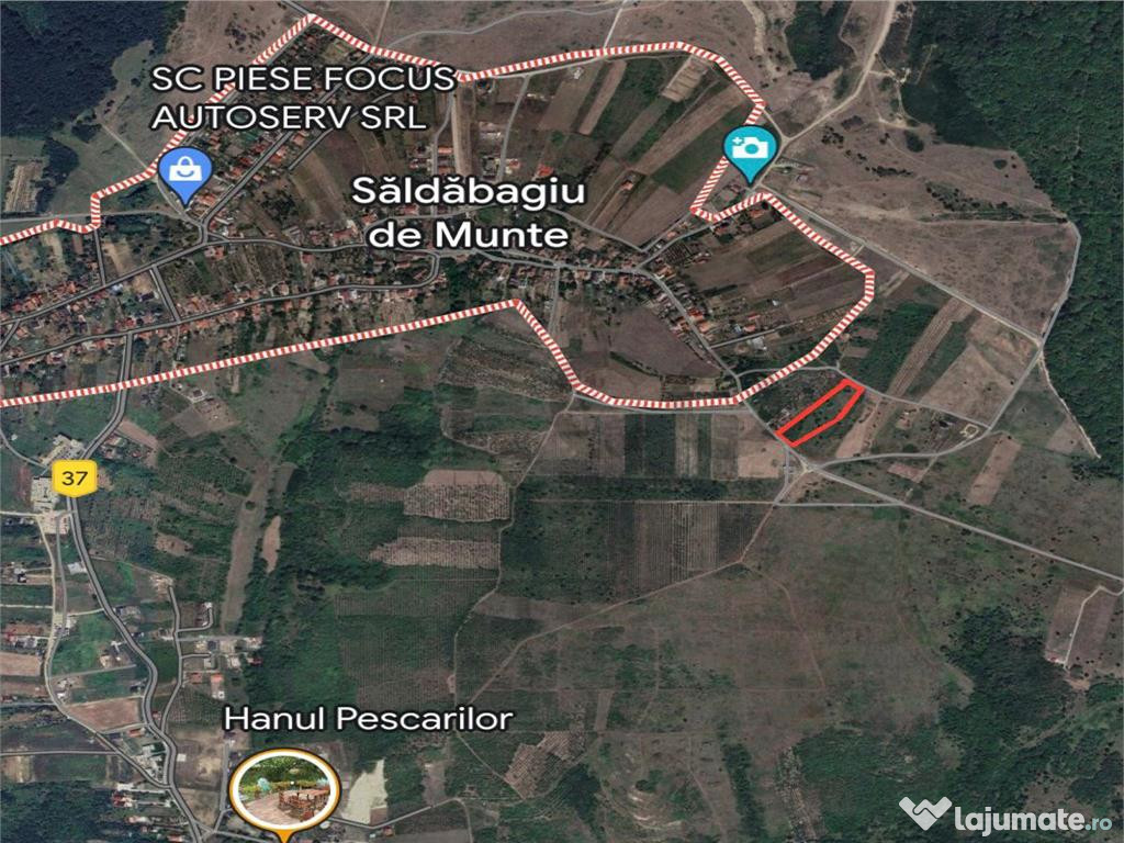 RECO Teren intravilan în Paleu