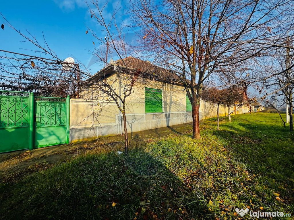 Casă 4 camere Seitin 2144 mp teren