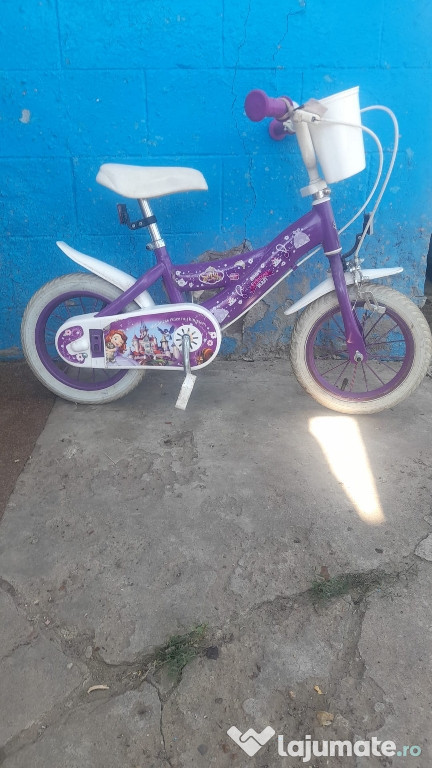 Bicicleta fetite