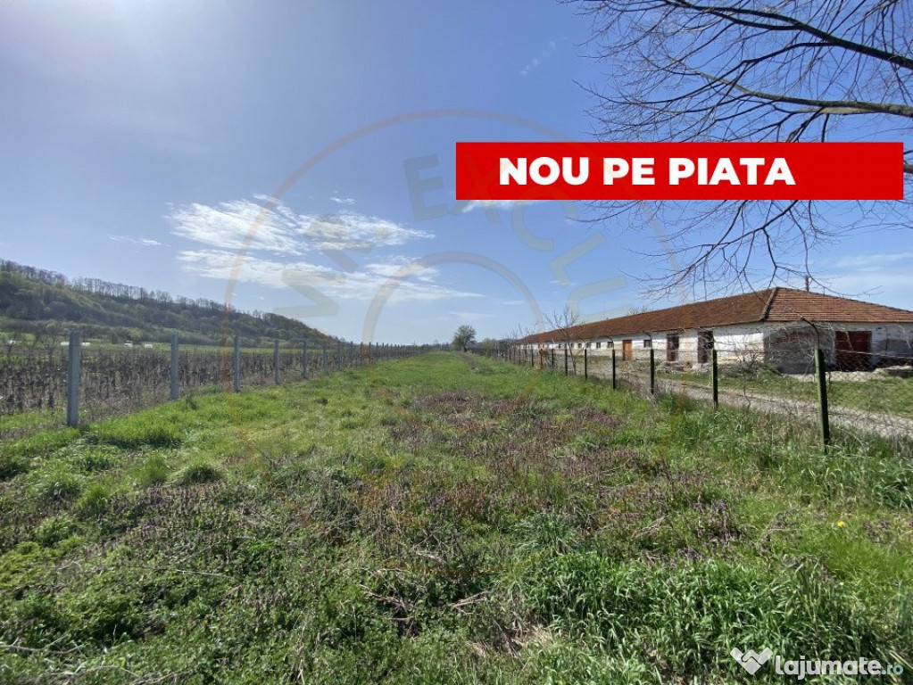 Teren intravilan cu grajduri si anexe – Aninoasa AG