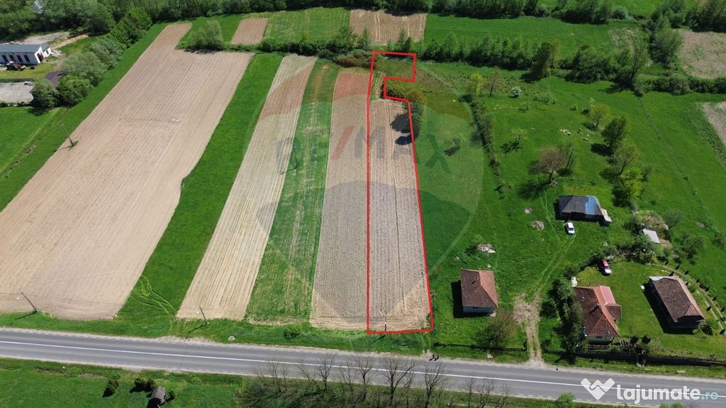 Teren 3,400mp Copalnic / Strada principala