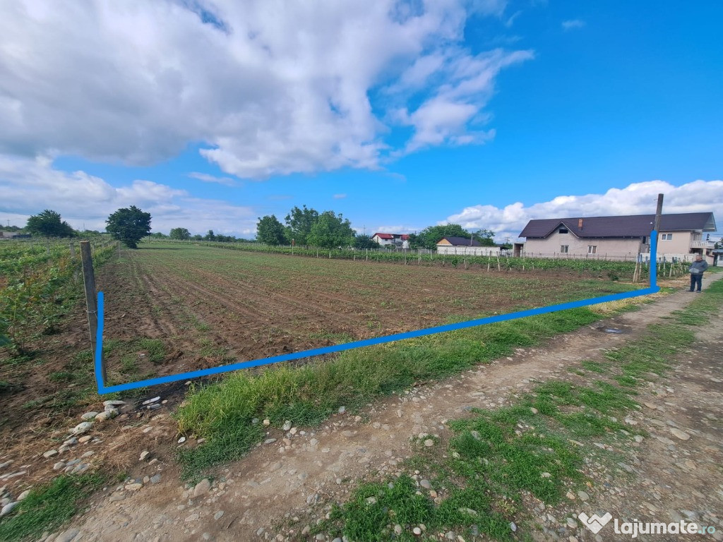 Teren intravilan in zona limitrofa orasului Dragasani 2770mp