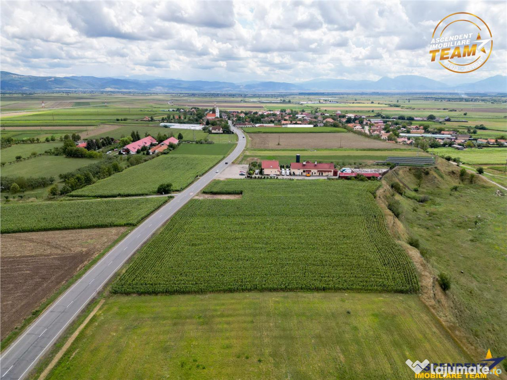 Teren arabil 3.000 mp, potential investitional, Coseni, Cova