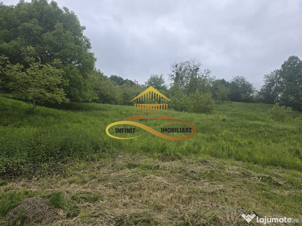 Teren de vanzare in Hemeius Bacau - 2500 mp