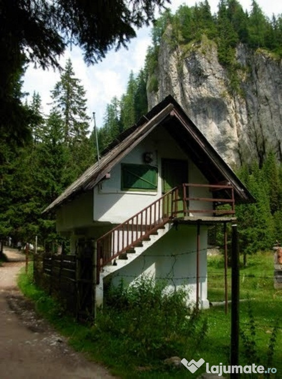 Cabana Horoaba plus teren aferent, Padina- Pestera din Bucegi