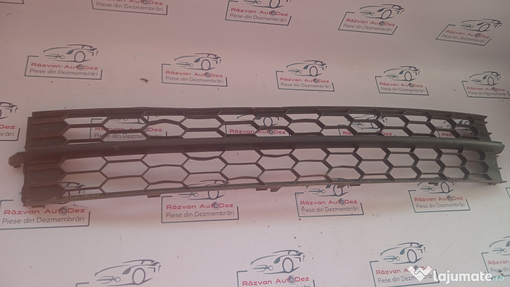 Grila bara fata Skoda RAPID 2015