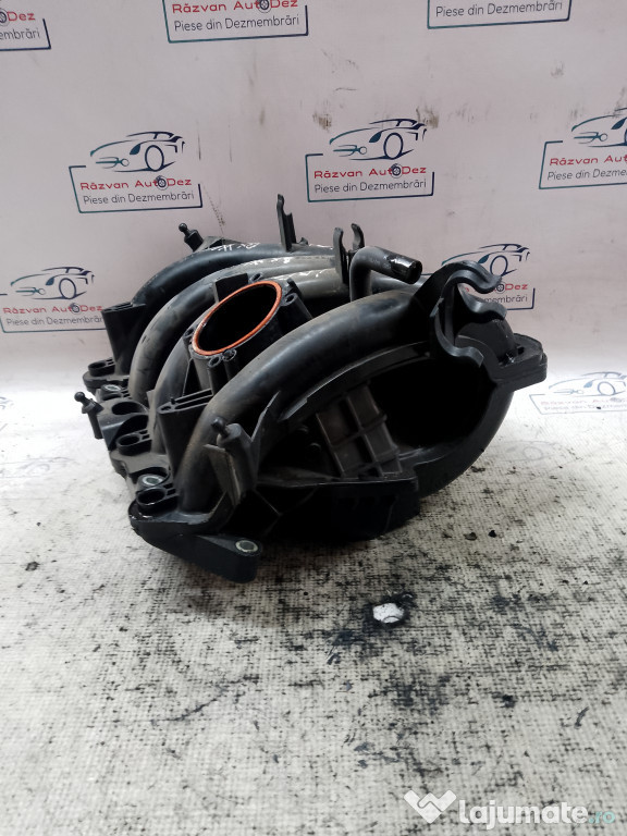 Galerie Admisie Plastic Seat Ibiza 2012