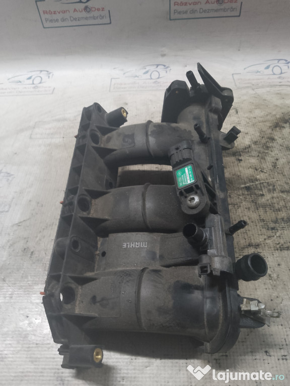 Galerie Admisie Plastic Renault Captur 2015