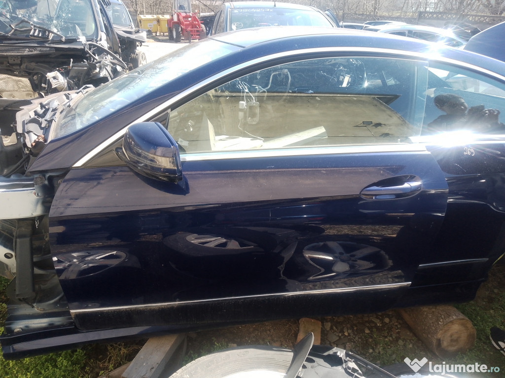 Usa stanga fata Mercedes E 350 2010