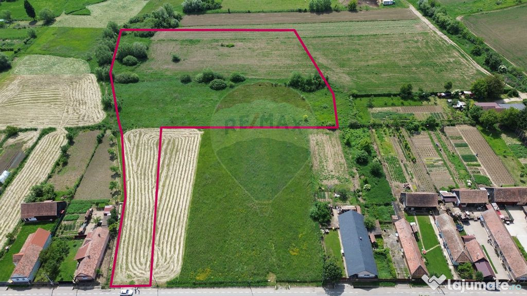 Teren de vânzare – Blăjel, jud. Sibiu | 15.360 mp - p...