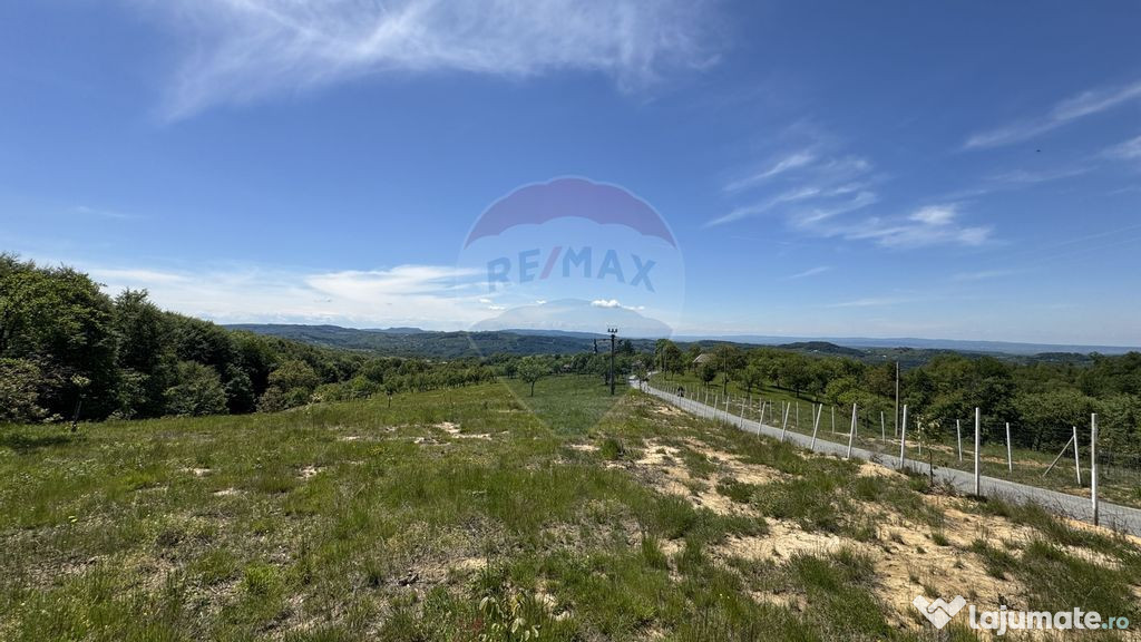 DE VANZARE Teren Codru Butesii /Preluca-ideal pentru GLAM...