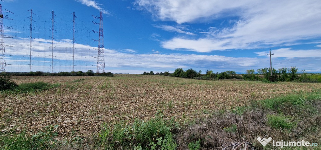 Teren 5.000 mp Ciolpani – deschidere 20 m la DN1, ideal investitie