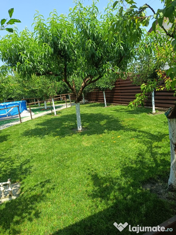 Teren Spataru Buzau 400mp