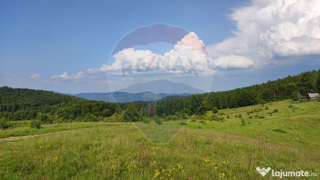 Teren 130000 mp extravilan Munteni - Bulz, Negreni