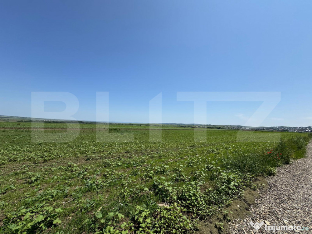 Teren intravilan , 608 mp , zona rezidentiala Ipotesti