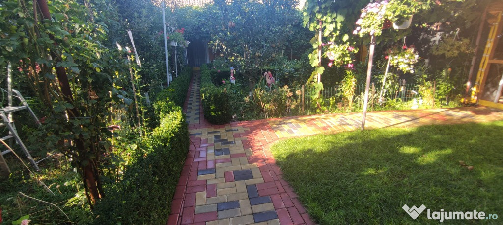 Cazare Casa Orange House Mangalia