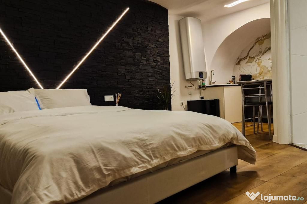 Garsoniera pentru investitie, 30 mp, Zona Istorica Sibiu