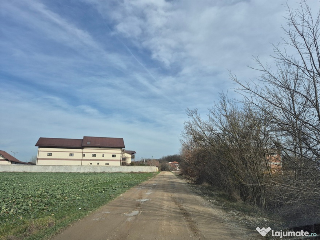Teren cu gaz si electric la hotar,langa padure 540mp