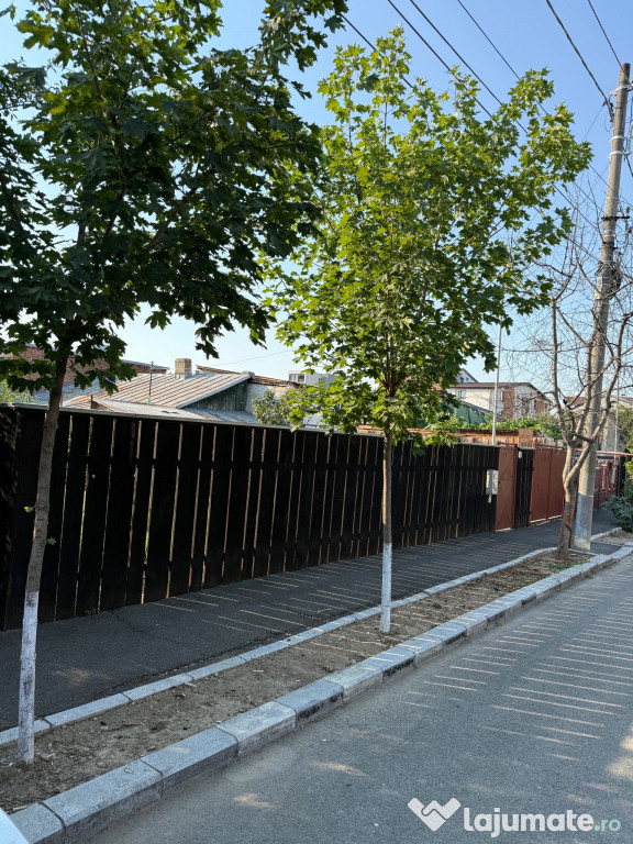Vând teren cu casa bătrânească
