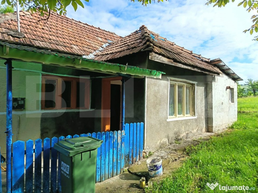 Casa cu 2 camere