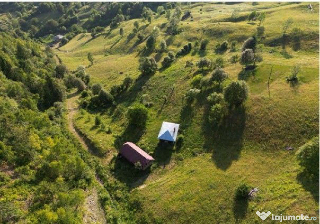 Teren extravilan si constructii Lesu, jud Bistrita-Nasaud...