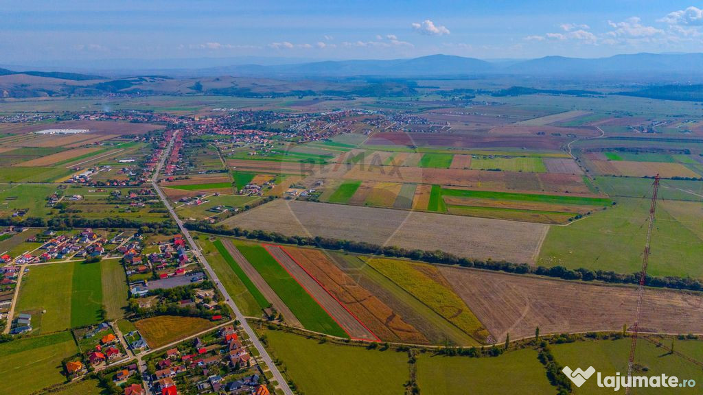 Teren intravilan 10,000 mp Bod