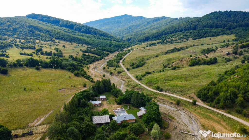 Cabană de închiriat cu sală de evenimente - Valea Mare, Prahova