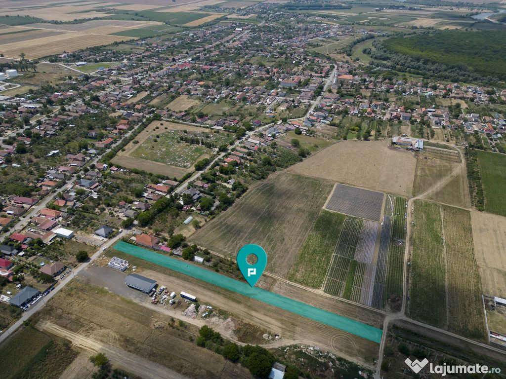 Teren 3000 mp in Loc Zadareni